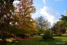 jardin serre bucher automne 051.JPG