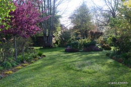 le printemps ,paquerettes,tonte,Anni. Jérome 150.JPG