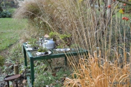poule d'eau,travaux et dernières fleurs,tonte,sapin bois 074.JPG