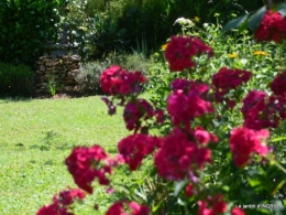 Issigeac paniers,visite Brigitte Mathis,jardin 048.JPG