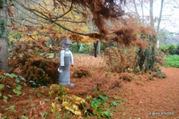 Brouillard,cypres chauve,jardinage 043.JPG