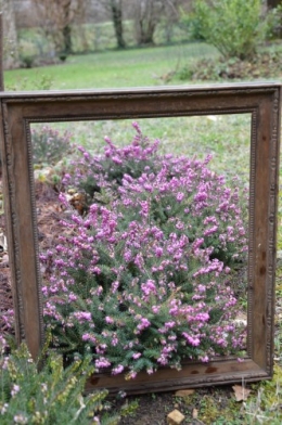 chez Maryse,pour tableaux,jardin 2013 044.JPG