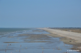 la baie de Somme 114.JPG
