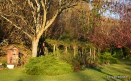 couronne,chevreuil,dernière tonte 058.JPG