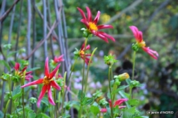 fleurs petit jardin,bouquets,grand jardin 047.JPG