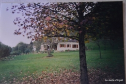jardin,le cypres chauve,puces Mouleydier,vieilles photos 175.JPG