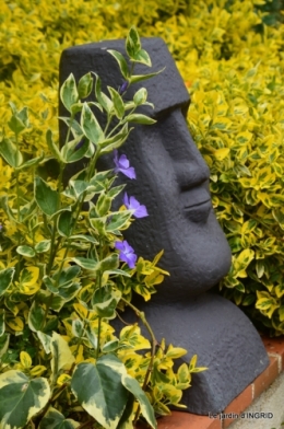 cygnes,cartes,scènes de jardin,;rosier de Banks 004.JPG