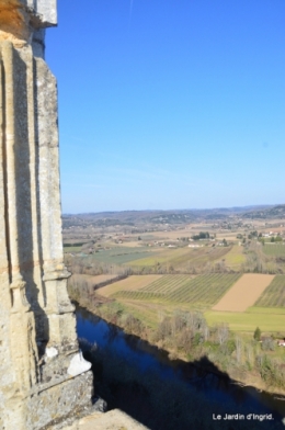 Avec Simone,Castelnault,anniversaire Romane,mimosa ,hamamelis 057.JPG