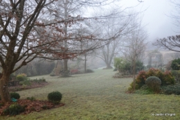 jardin givré,oiseaux 046.JPG
