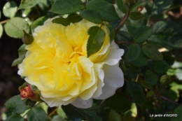 Fouleix,cygnes,Inès,jardin 052.JPG