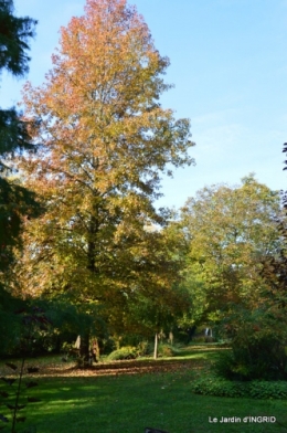 automne, décos cucurbitacées,jardin 012.JPG