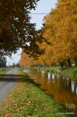 canal automne ,jardin,Ines 093.JPG