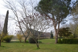 Beaumont,tulipes,primevères et autres,chez Bernadette 144.JPG