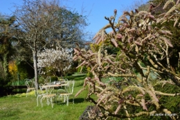 tour du jardin printemps 013.JPG