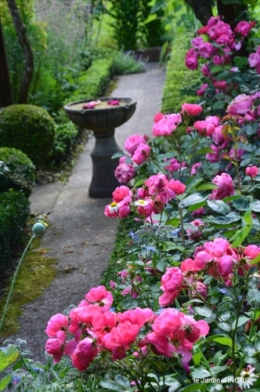 jardin,portes ouvertes,Julie 106.JPG