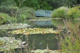 orage,puces,bouquet,Anniv.Ines,Brantome,Jardins d'eau 220.JPG