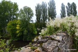 jardin pluie,chateau Losse 139.jpg