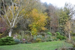 troc,automne,serre 014.JPG