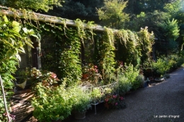 mon coin,Monique,les oies,mon jardin 002.JPG