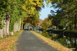 jardin automne,voisinage,canal 169.JPG
