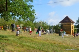 Meyrals,Limeuil,Issygeac,Ines,les cygnes 005-001.JPG