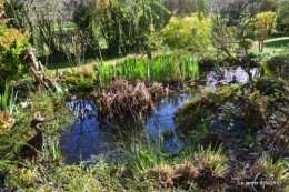 semis,bassin,tour du jardin 123.JPG