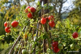 male ancienne,septembre jardin,couronne,bouquet 036.JPG
