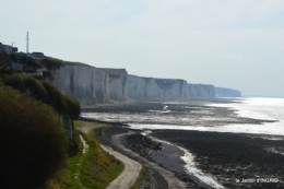 la baie de Somme 115.JPG