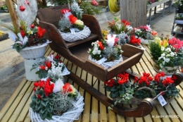première gelée,décos Noel Jardiland Proflora 089.JPG