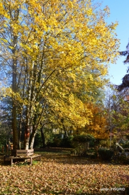 fin de l'automne,Lalinde,bouquet de l'avent 017.JPG