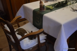 Noel intérieur,oiseaux 035.JPG
