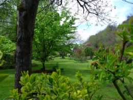 avril2012 151.JPG