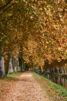 canal automne ,jardin,Ines 105.JPG