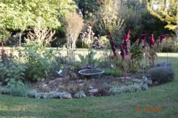 citrouilles,jardin,Combarel 009.JPG