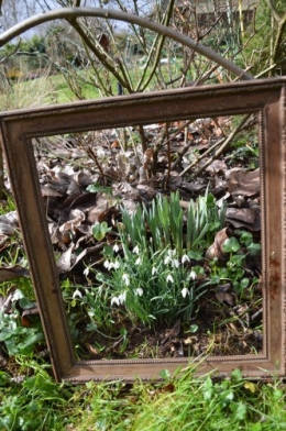 chez Maryse,pour tableaux,jardin 2013 035.JPG