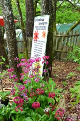 Fouleix,marguerites,hostas 086.JPG