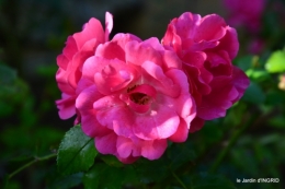 tour de jardin,bouquet,chez Bernadette, 062.JPG