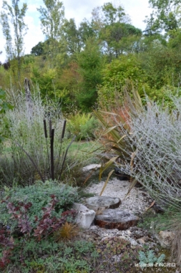 canal,au fond de l'Or,Julie,feuilles 125.JPG