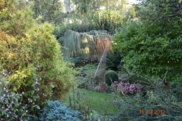 citrouilles,jardin,Combarel 023.JPG