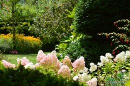 aout jardin 073.JPG