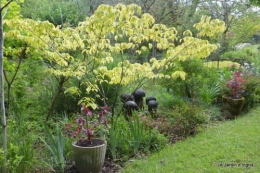 mai au jardin,les filles 068.JPG
