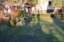 couronne,chevreuil,dernière tonte 035.JPG