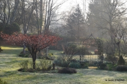 saumon,paquerettes,jardin blanc 020.jpg