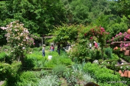 Epouvantails,ouverture,jardin 060.JPG