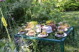 chez Fabien,le canal,jardin,hémérocalles,le souci,potager 151.JPG