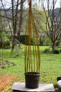 l'osier,stuctures,fleurettes printemps 017.JPG