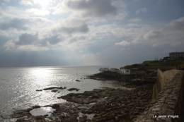Royan,les cigognes,helebores 068.JPG
