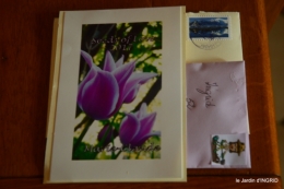 les lettres,les oiseaux,givre 087.JPG