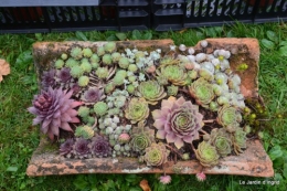 jardin,St Avit Seigneur brocante,Neuvic fête des plantes 104.JPG