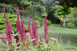 Cadouin,Lalinde chapelle,cascade,jardin,papillon 056.JPG